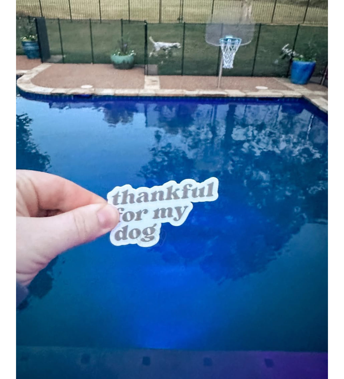thankful for my dog sticker