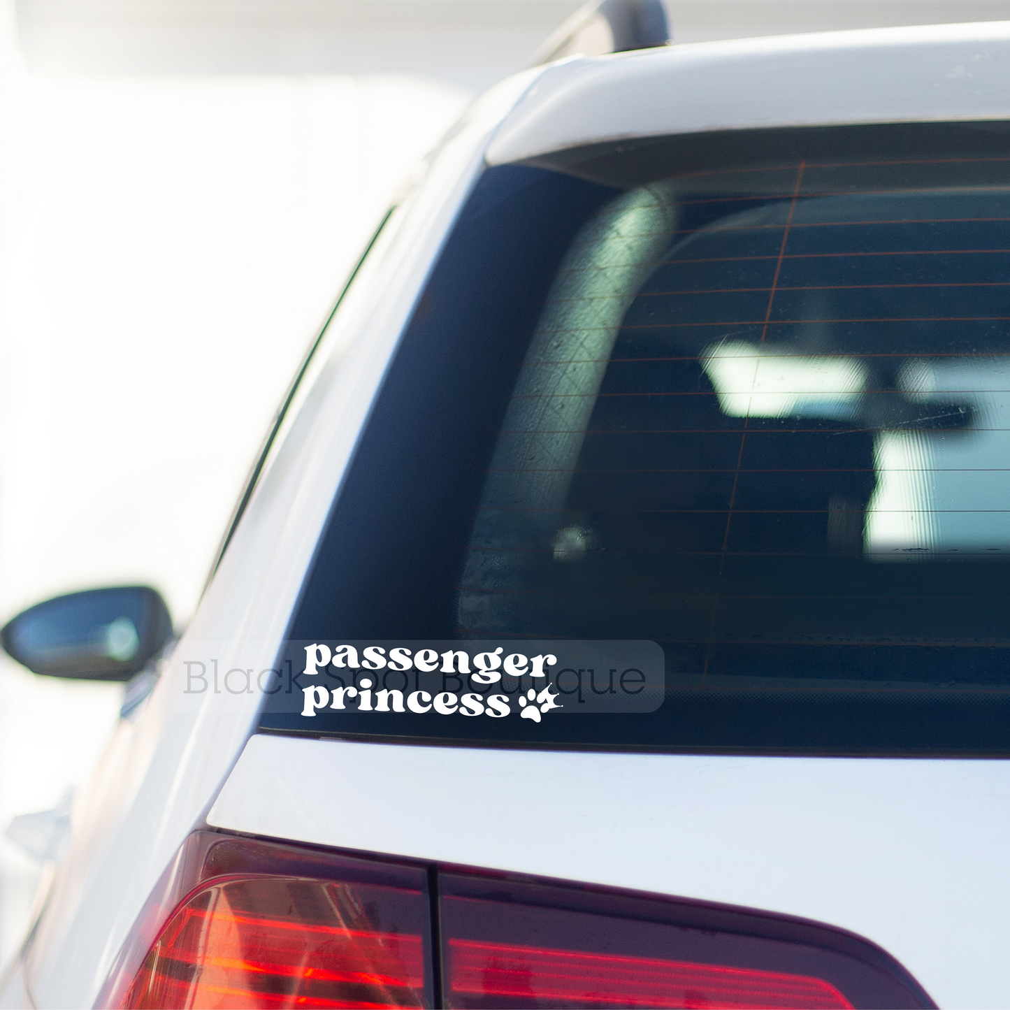 Passenger Princess + Passenger Prince Decal