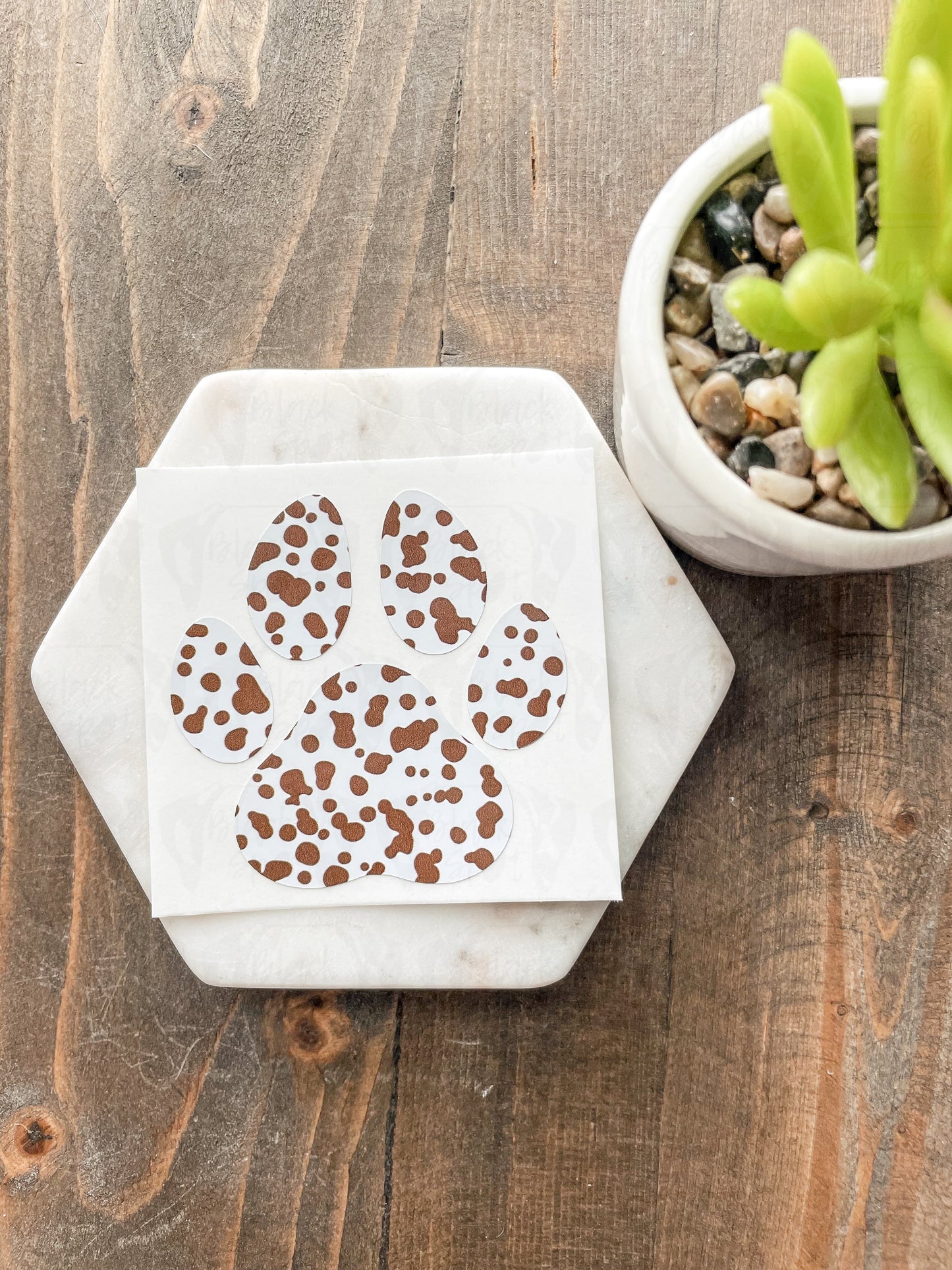 Super Spotty Paw Decal