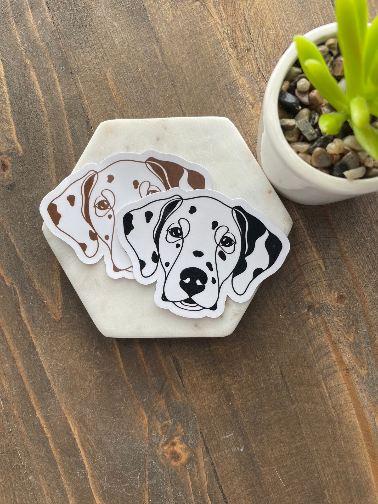 Dalmatian Sketch Profile Sticker