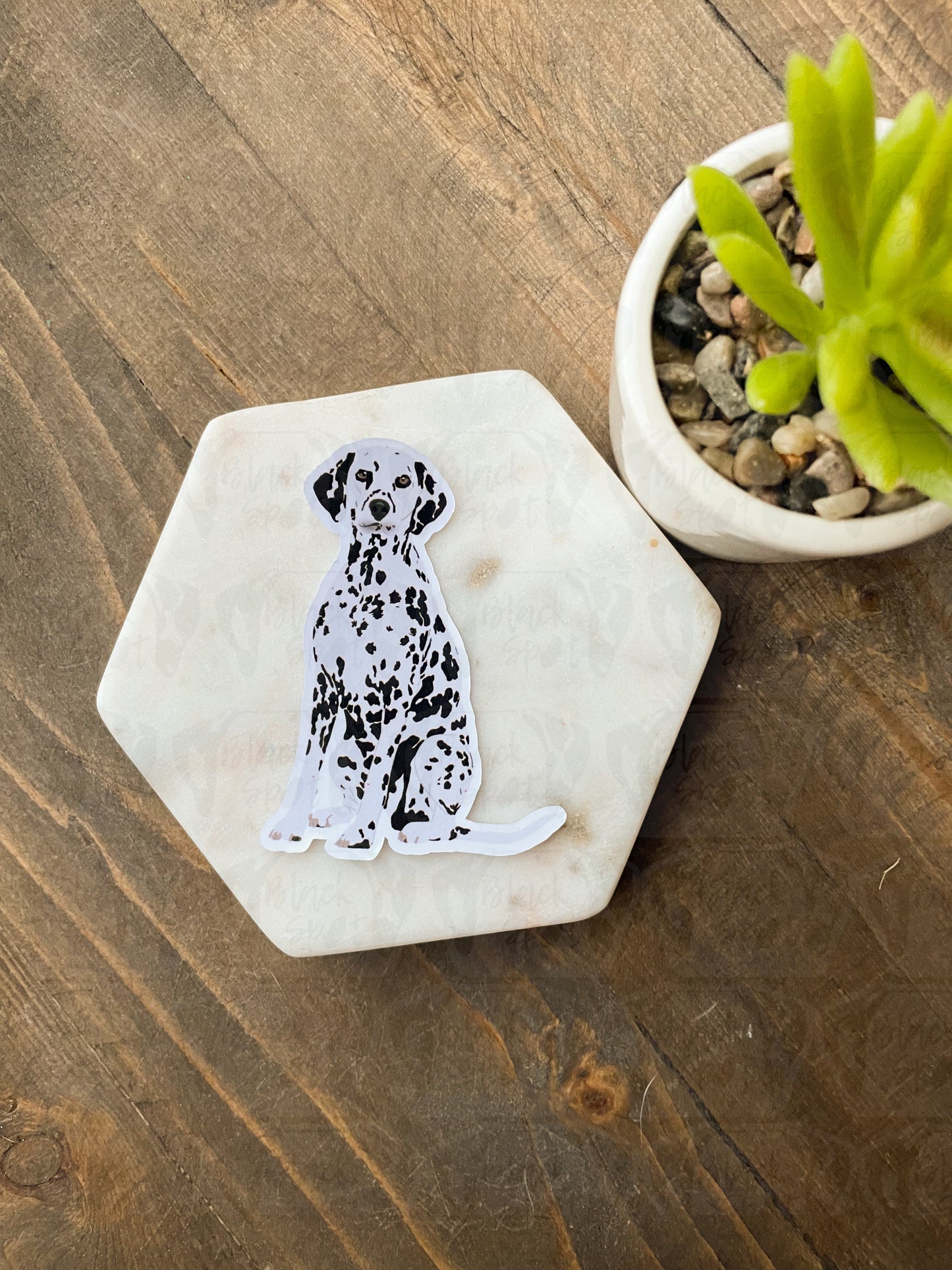 Sitting Dal Portrait Sticker