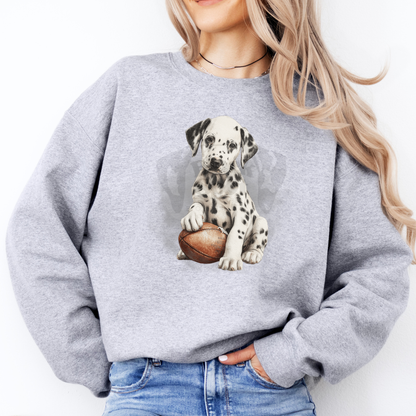 Dalmatian Football Crew