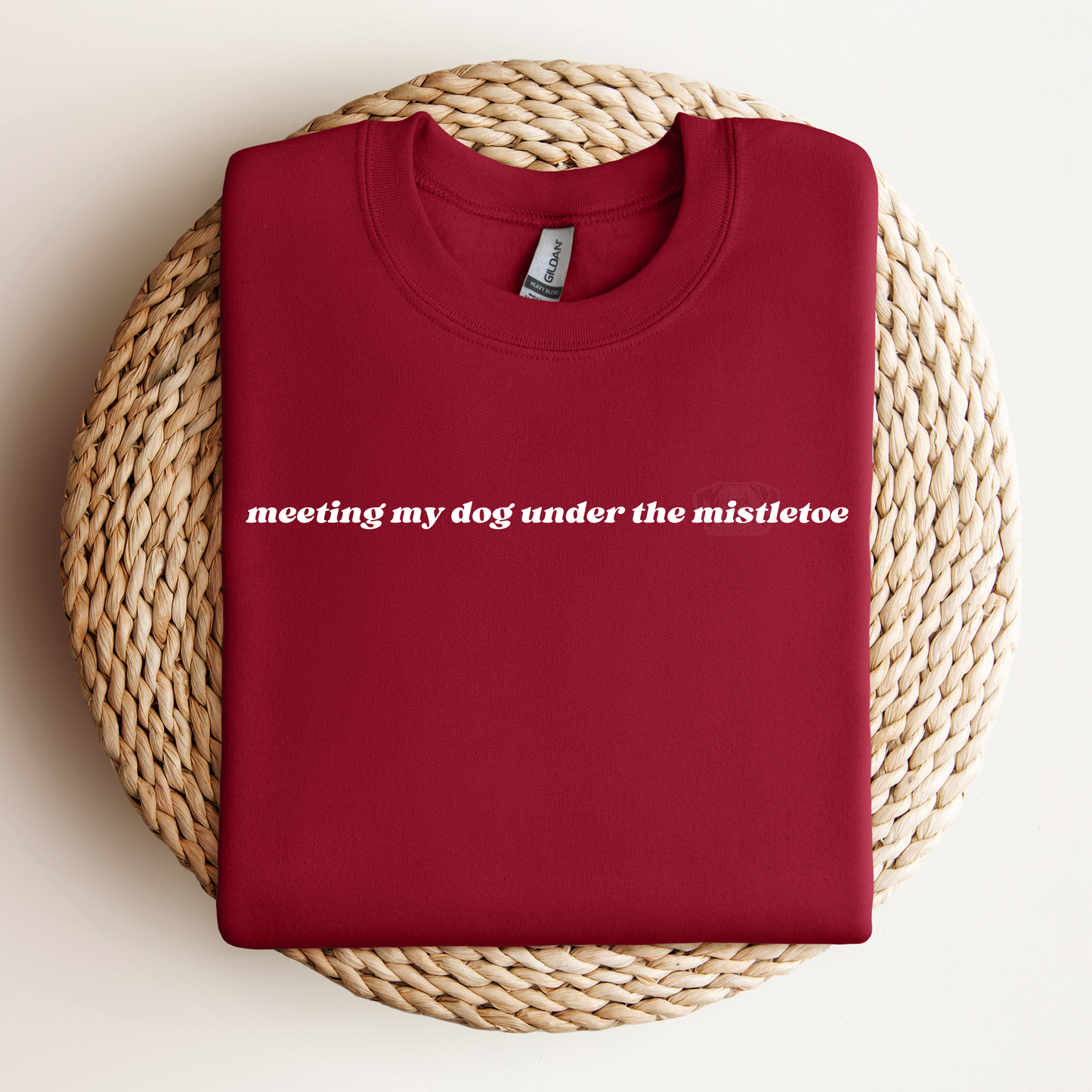 Meeting My Dog (or Dogs) Under the Mistletoe