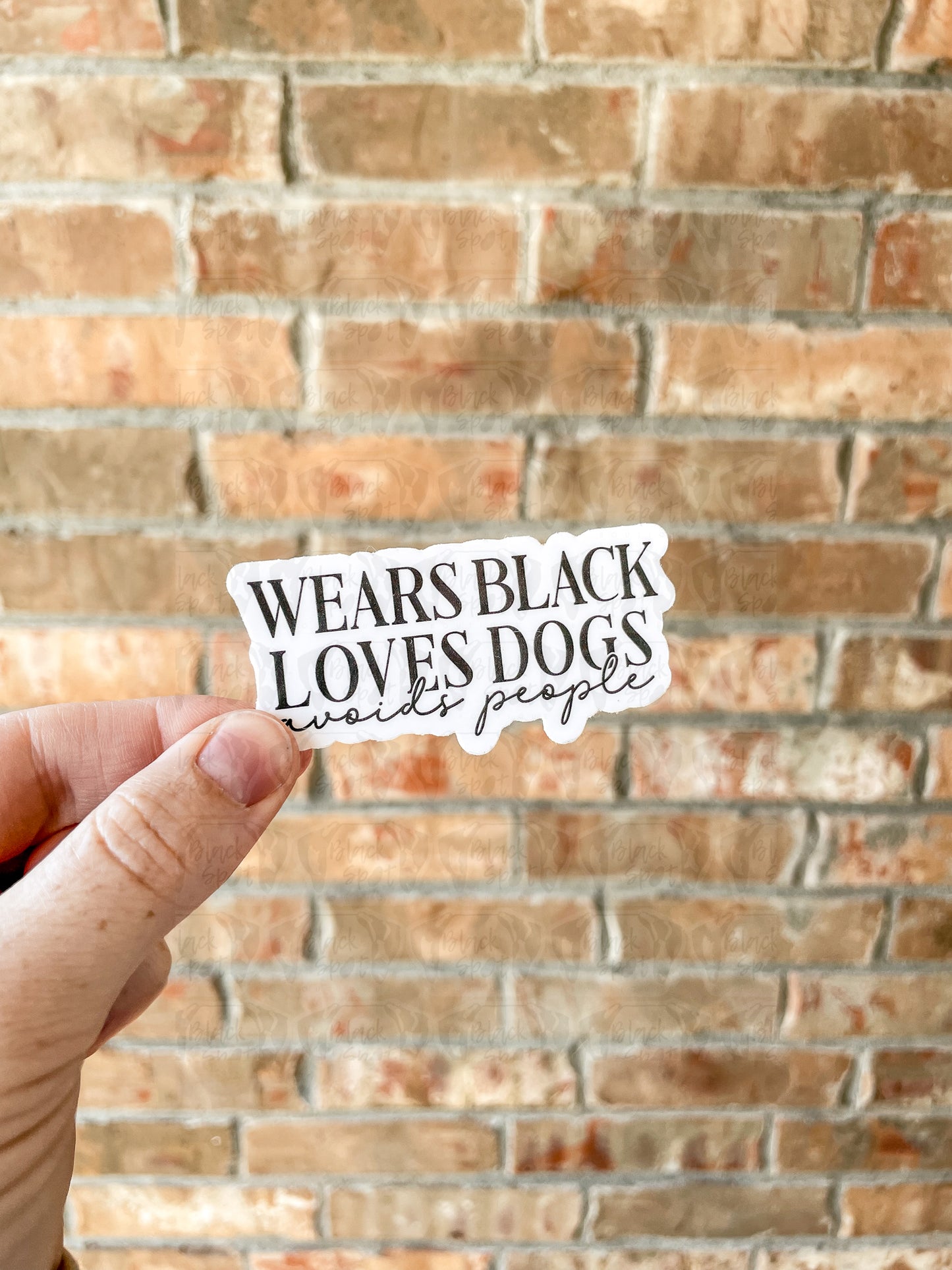 Wears Black Loves Dogs Avoids People Sticker