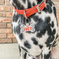 Custom Spotty Dog Tag