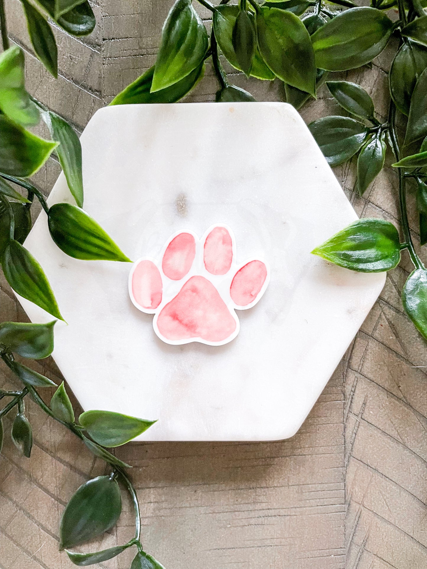 Watercolor Paw Magnet