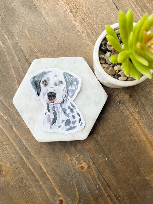 Dalmatian Watercolor Portait Sticker