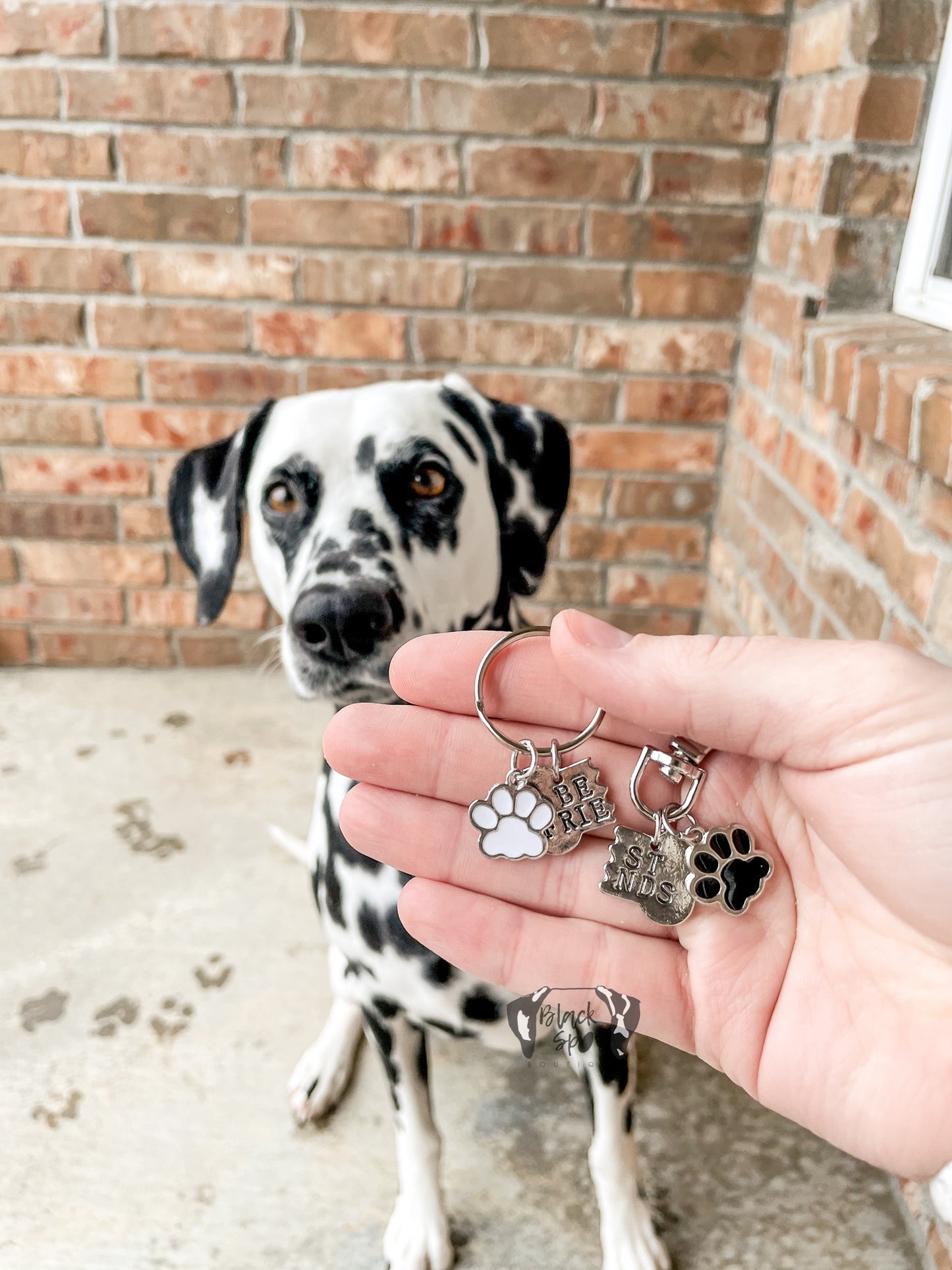 Best Friends Keychain and Collar Charm Set